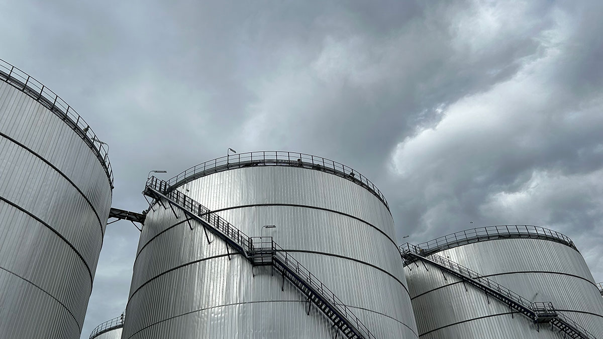 Feedstock Supply will Decide Winners and Losers in Biofuel Industry